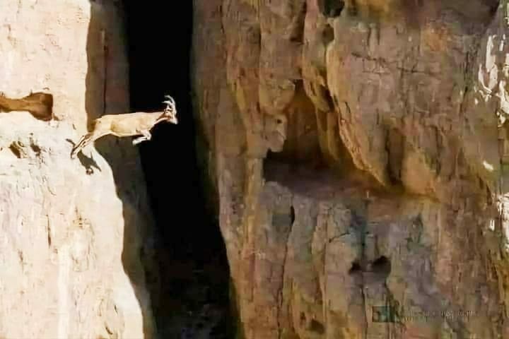 leap of faith post