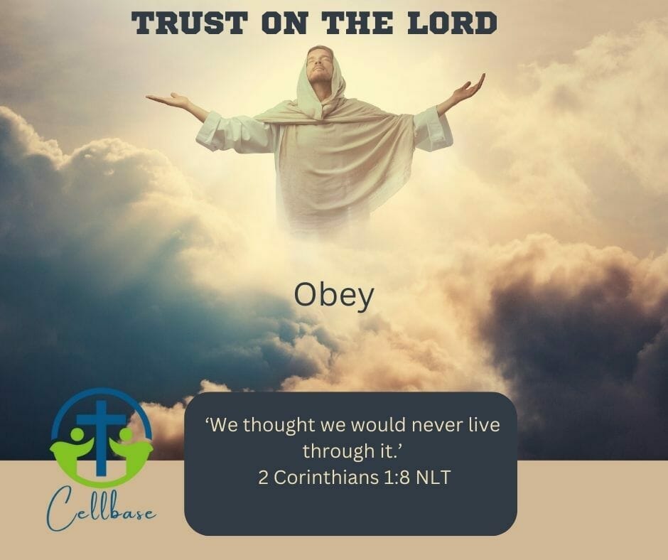 Obey