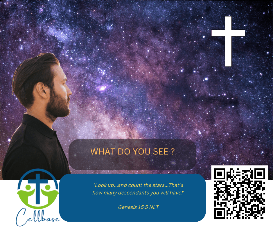 WHAT DO YOU SEE