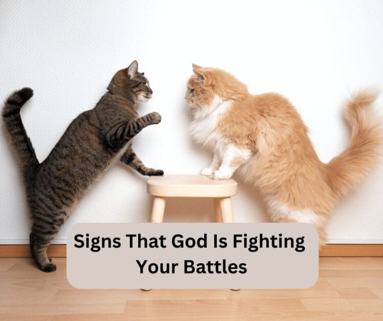 Signs of Battles.